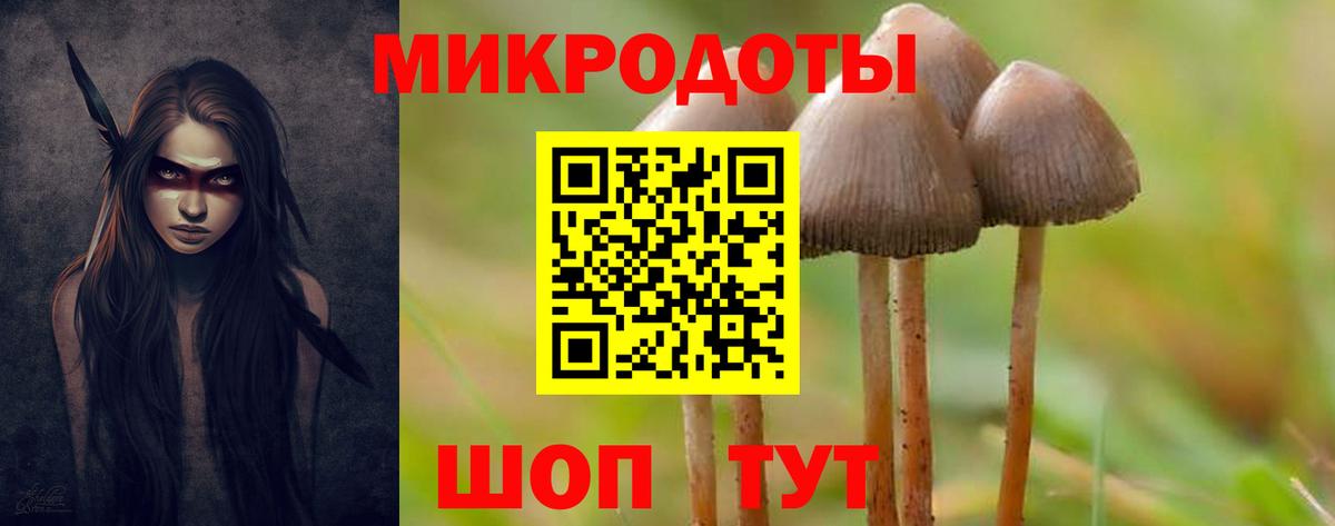 МЕФ Орёл