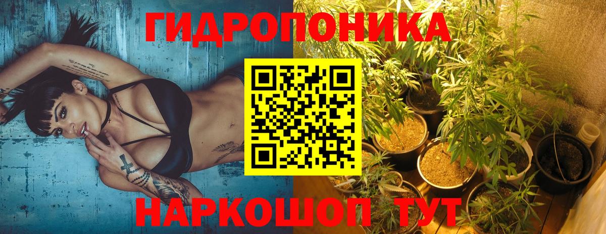 Конопля ГИДРОПОН Орёл